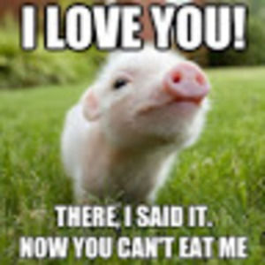 Meet your Posher, Maya